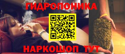 PSILOCYBIN Кунгур