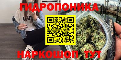 PSILOCYBIN Кунгур