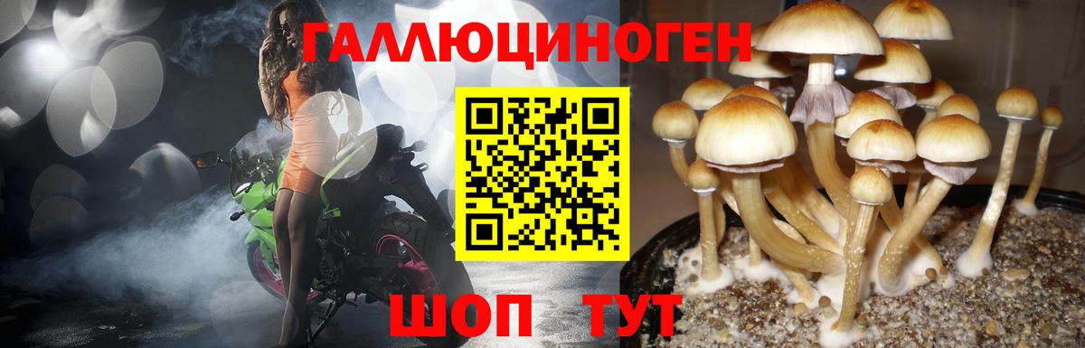 Гуково  Галлюциногенные грибы Cubensis  закладки  Вход с VPN  Псилоцибиновые грибы GOLDEN TEACHER 