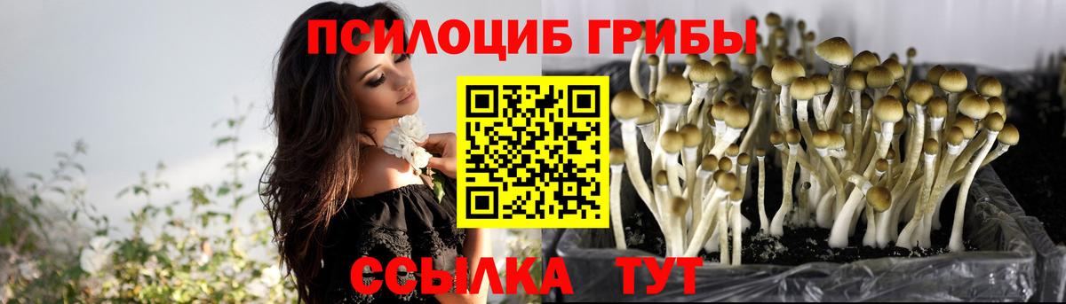 Галлюциногенные грибы прущие грибы Гуково